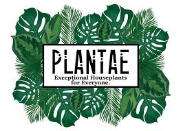 Plantae